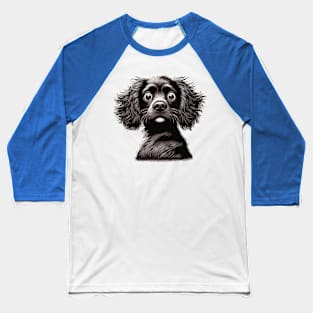 boykin spaniel confused Baseball T-Shirt